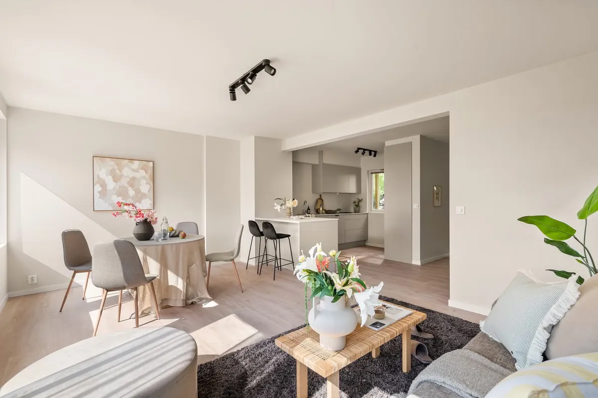 Rekkehus, gevinst 480 000 kr